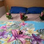 Catamaran Cruise - Leeward Islands  The Polynesian Escape - Practical Details and What to Expect