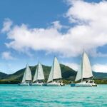 Catamaran Cruise to île aux Cerfs w Dolphins watch & Lunch - Why This Tour Offers Great Value