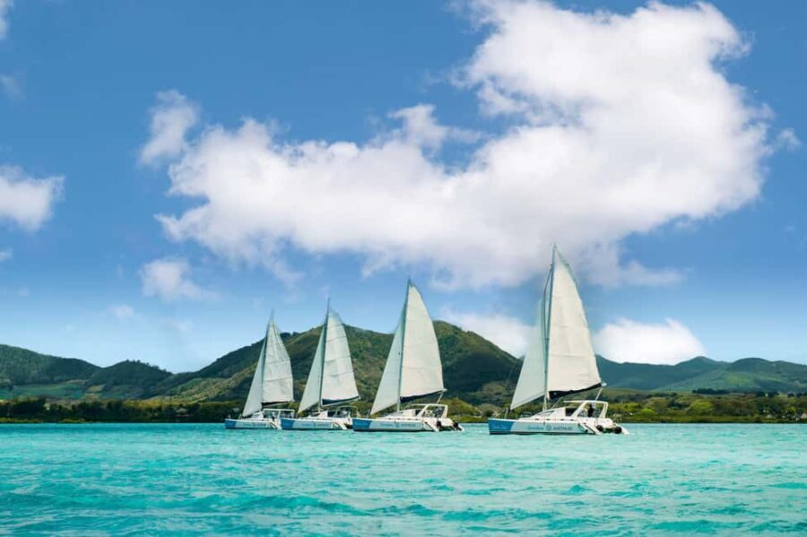 Catamaran Cruise to île aux Cerfs w Dolphins watch & Lunch - Why This Tour Offers Great Value