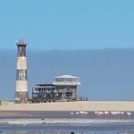 Catamaran Dolphin Cruise and Sandwich Harbour Tour - Practical Details and Tips for Travelers