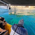 Cathedral Cove 2 Hour Guided Tour Explore Marine Wonders - Who Should Consider This Tour?