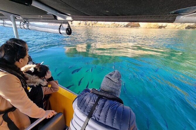 Cathedral Cove 2 Hour Guided Tour Explore Marine Wonders - Who Should Consider This Tour?