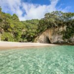 CATHEDRAL COVE & HOT WATER BEACH Day Tour from Auckland - The Practical Side: What’s Included and What’s Not