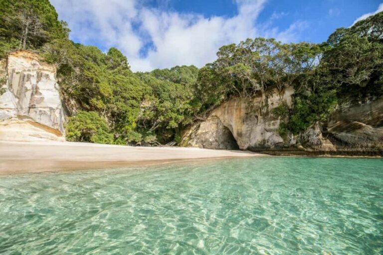CATHEDRAL COVE & HOT WATER BEACH Day Tour from Auckland - The Practical Side: What’s Included and What’s Not