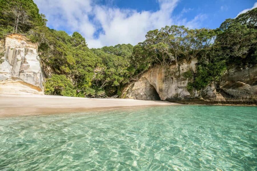 CATHEDRAL COVE & HOT WATER BEACH Day Tour from Auckland - The Practical Side: What’s Included and What’s Not