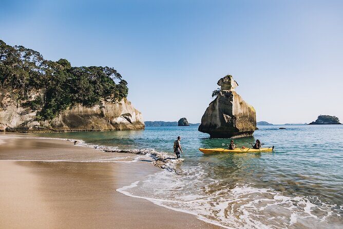 Cathedral Cove Kayak Tour - Value for Money
