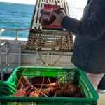 Cervantes: Lobster Catching Tour - Final Thoughts