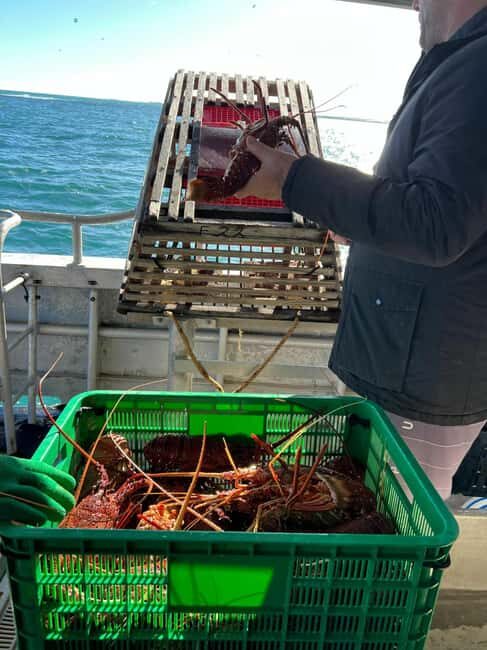 Cervantes: Lobster Catching Tour - Final Thoughts