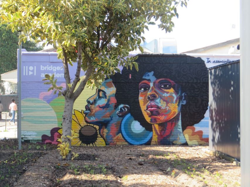 Chameleon Tour  An Authentic Township Cultural Experience - Who is This Tour Best For?