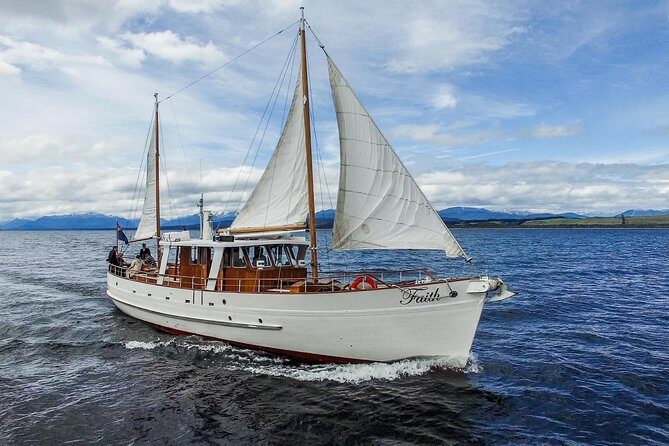 Champagne Sightseeing Cruise on Lake Te Anau - Why This Cruise Really Shines