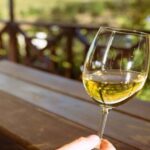 Cheetah Outreach and Award-Winning Winelands Full Day Tour - Visiting Spier Wine Farm: A Historic Gem