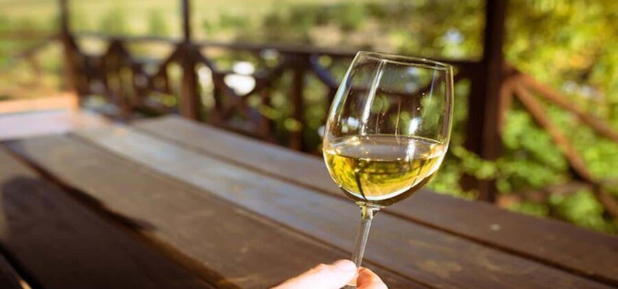 Cheetah Outreach and Award-Winning Winelands Full Day Tour - Visiting Spier Wine Farm: A Historic Gem