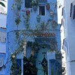 Chefchaouen the blue city and waterfalls akchour - The Drive to Akchour: Mountain Views and Nature’s Best