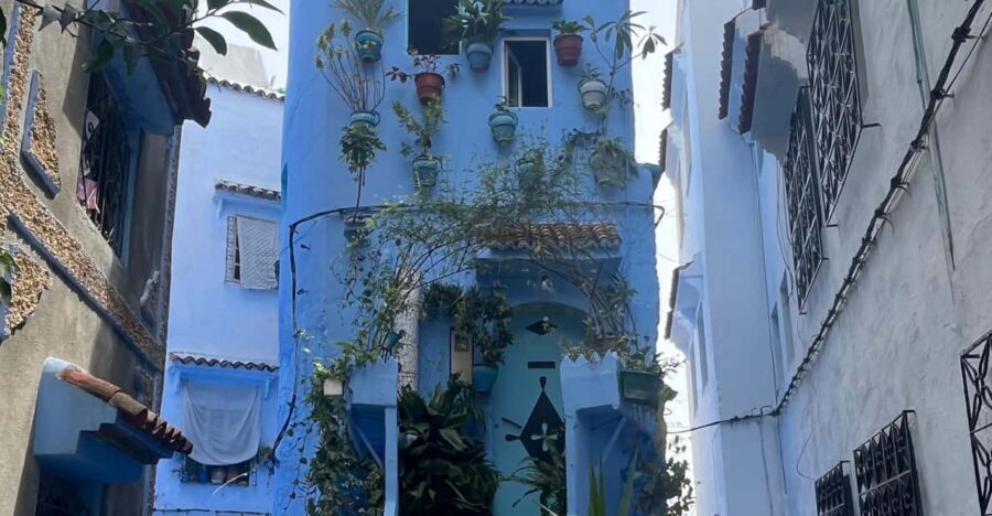 Chefchaouen the blue city and waterfalls akchour - The Drive to Akchour: Mountain Views and Nature’s Best