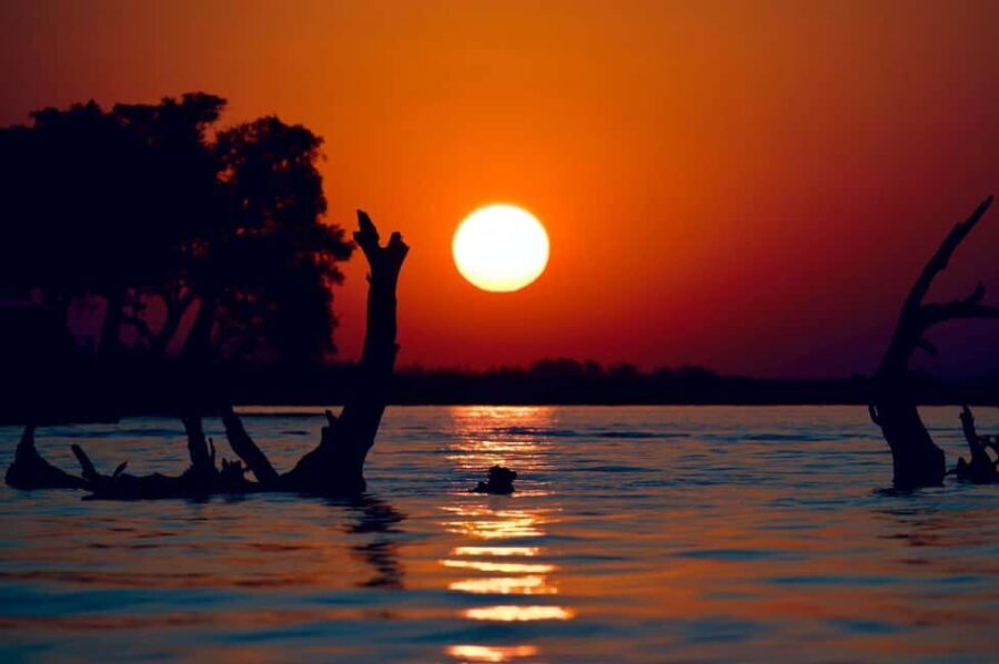 Chobe Day Trip - What’s Included and What’s Not