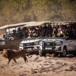 Chobe day trip from Victoria Falls - Authentic Experiences and Guide Expertise