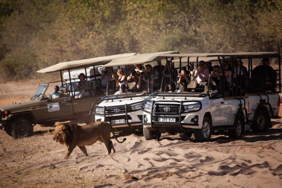 Chobe day trip from Victoria Falls - Authentic Experiences and Guide Expertise