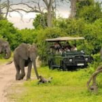 Chobe Full Day Trip - The Highlight: The Chobe River Boat Cruise