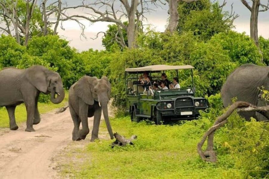Chobe Full Day Trip - The Highlight: The Chobe River Boat Cruise