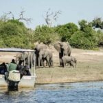Chobe full day trip - Chobe National Park Botswana - Practical Details and Tips