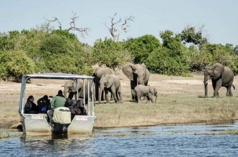 Chobe full day trip - Chobe National Park Botswana - Practical Details and Tips