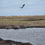 Chobe River Sunset Cruise - Pricing and Value: Is It Worth It?
