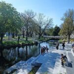 Christchurch Full Day Tour - A Well-Rounded Itinerary