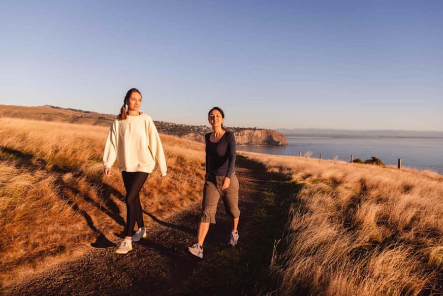 Christchurch: Godley Head & Lyttelton Guided Walking Tour - Transportation, Group Size, and Value