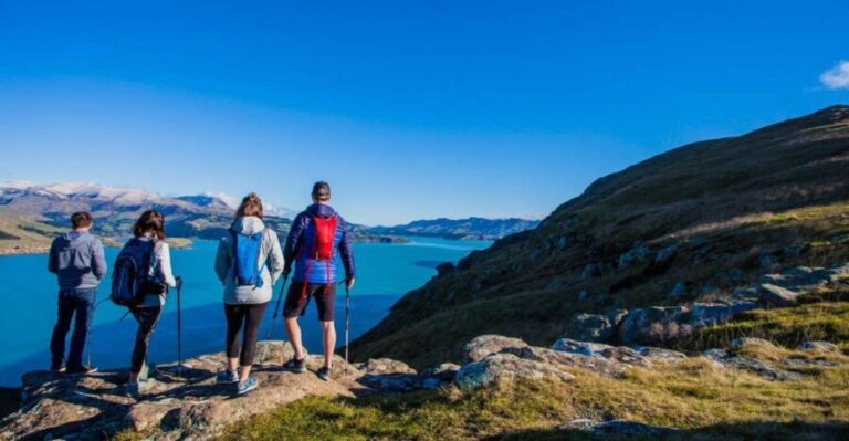 Christchurch: Guided Crater Rim Walk with Picnic - Who Will Love This Tour?