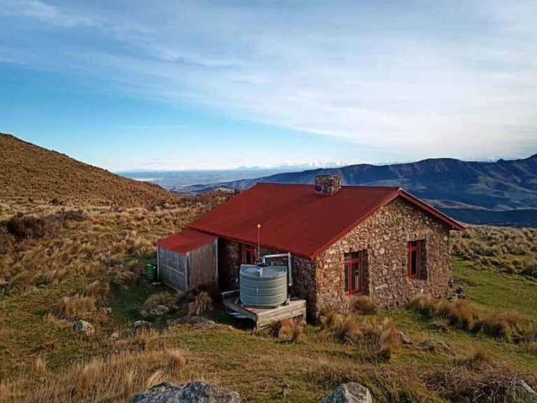 Christchurch: Packhorse Hut Guided Walk and Scenic Drive - What to Expect from the Tour