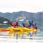 Christchurch: Sea Kayaking Tour of Lyttelton Harbour - What the Tour Includes and Why It Matters