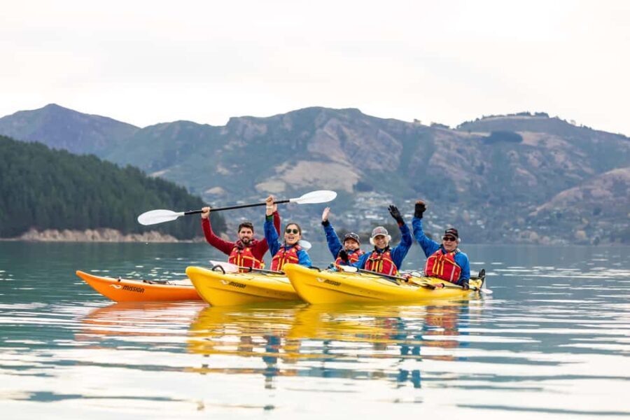 Christchurch: Sea Kayaking Tour of Lyttelton Harbour - What the Tour Includes and Why It Matters