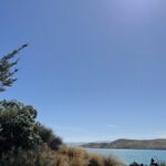 Christchurch to Queenstown One Way Via Lake Tekapo and Mt Cook - Authentic Insights from Travelers