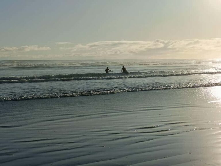 City & Coast & Country  A Relaxed Day Tour from Auckland - What To Expect: Practical Details