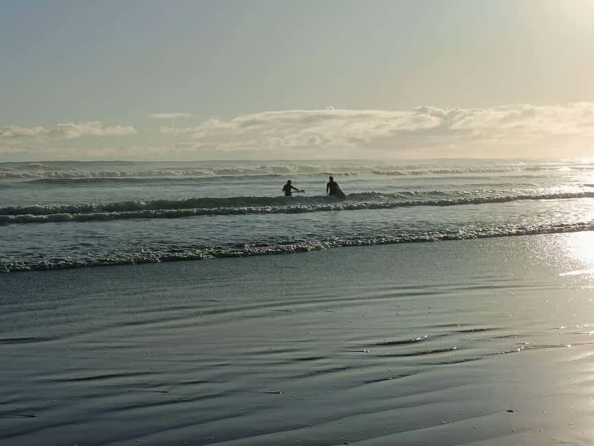 City & Coast & Country  A Relaxed Day Tour from Auckland - What To Expect: Practical Details