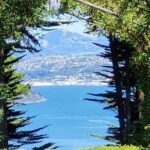 City Highlights, Larnach Castle & Peninsula Views - Exploring Otago Peninsula and Larnach Castle