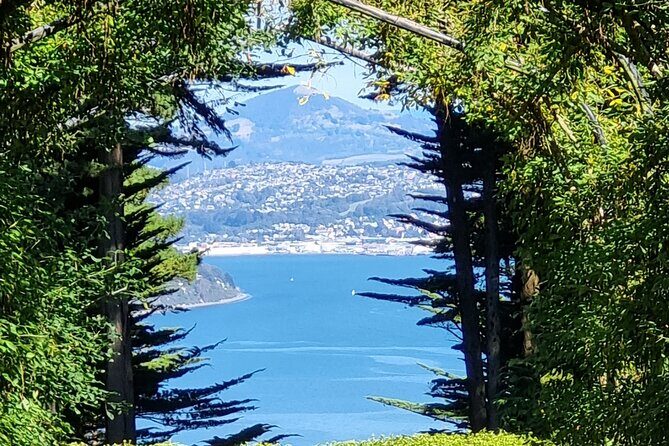 City Highlights, Larnach Castle & Peninsula Views - Exploring Otago Peninsula and Larnach Castle