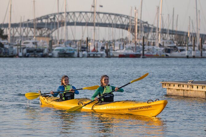 City Scenes Kayak Tour in Auckland - Explore the Waterfront - Who Will Love This Tour?