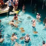 City Tour at Stone town, Jozani Forest and Salam Cave - Practical Details and Tips