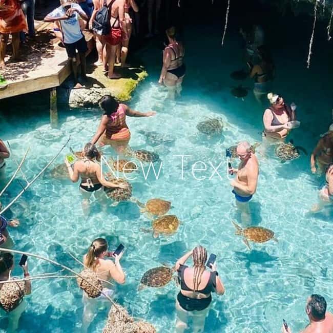 City Tour at Stone town, Jozani Forest and Salam Cave - Practical Details and Tips