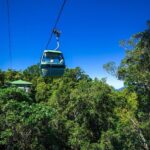 Classic Kuranda by Skyrail and Scenic Railway, Rainforestation & lunch. CKB - The Practical Aspects: Transportation, Duration, and Value