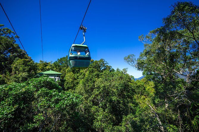 Classic Kuranda by Skyrail and Scenic Railway, Rainforestation & lunch. CKB - The Practical Aspects: Transportation, Duration, and Value