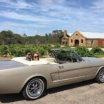 Classic Mustang Convertible Barossa Valley Half Day Private Tour For 2 - Who Is This Tour Best Suited For?
