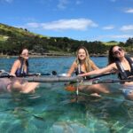 Clearyak hire at Goat Island Marine Reserve - What Sets This Apart: The Highlights