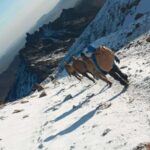 Climbing Mount Kenya in 5days via the Chogoria Sirimon Route - Day 1: Nairobi to Judmaier Camp