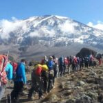 Climbing Mt.Kilimanjaro via Lemosho Route 8 days - Practical Tips from Reviews