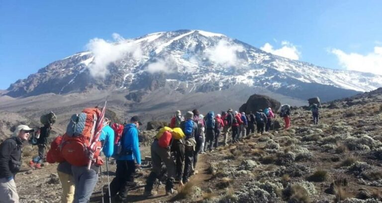 Climbing Mt.Kilimanjaro via Lemosho Route 8 days - Practical Tips from Reviews
