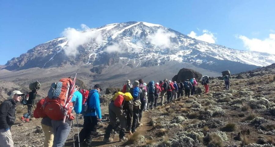Climbing Mt.Kilimanjaro via Lemosho Route 8 days - Practical Tips from Reviews