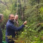 Coast and Rainforest Eco-Tour from Auckland with Picnic Lunch - Authentic Experiences & Reviewer Insights