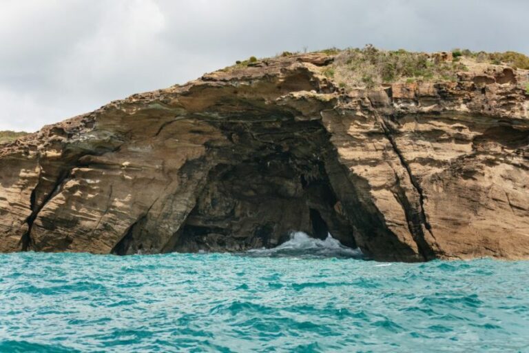 Coastal 2.5-hour Adventure Boat Tour from Newcastle - The Itinerary and Key Stops